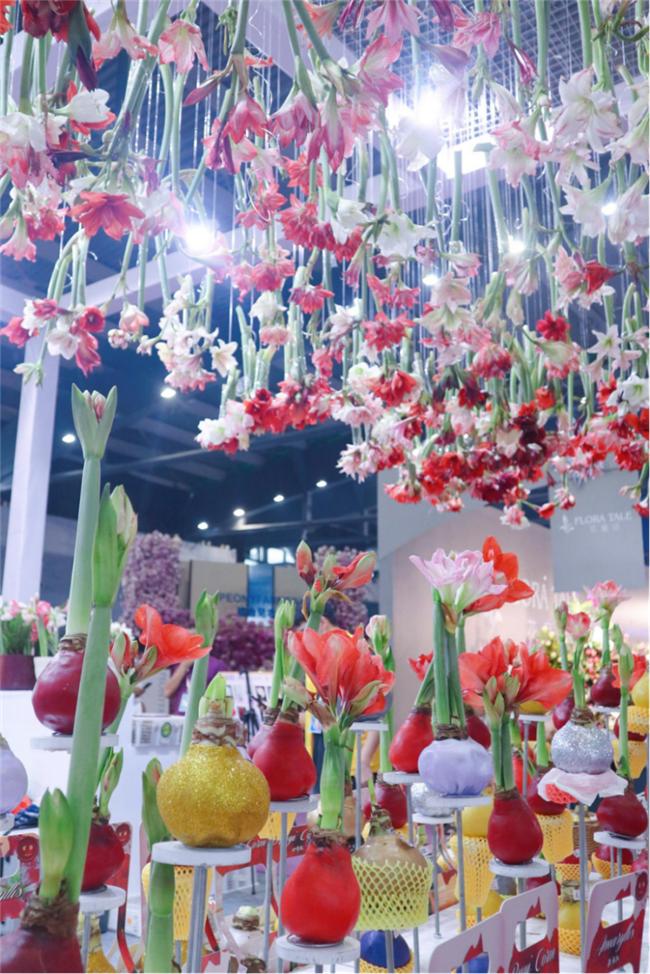 让人惊艳的花展,花展上看到的美到窒息