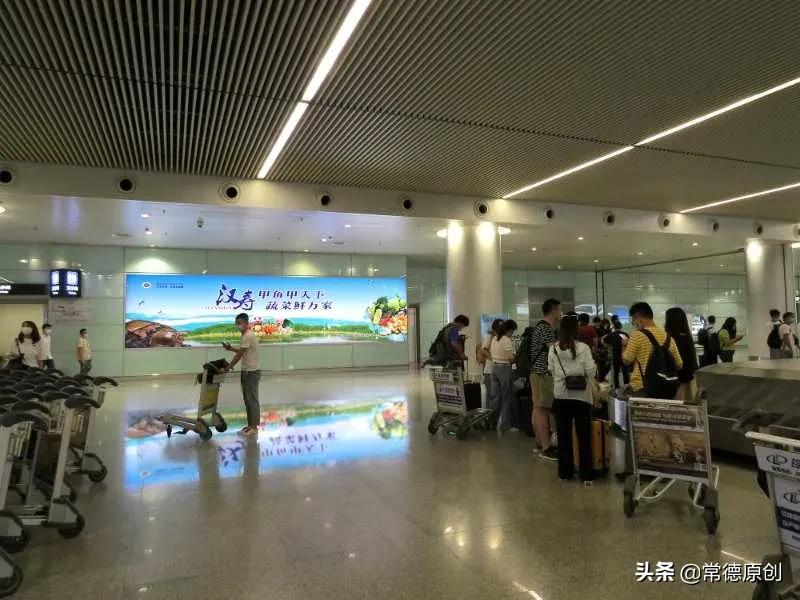 汉寿哪里的甲鱼最好吃,汉寿甲鱼甲天下介绍