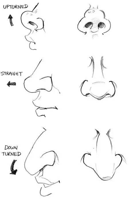 画人物要画鼻子吗,学画漫画人物的鼻子