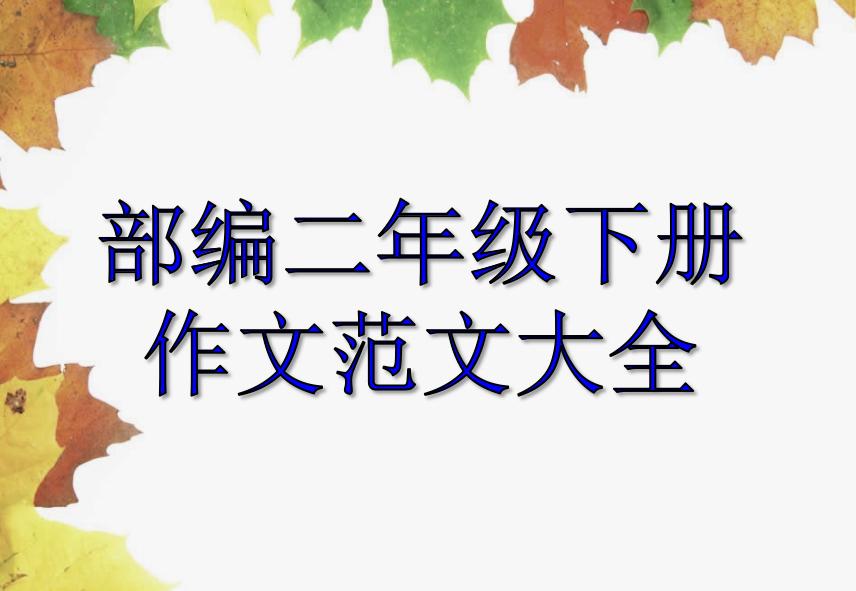 二年级下册语文写话必考范文,二年级看图写话图片和范文100篇