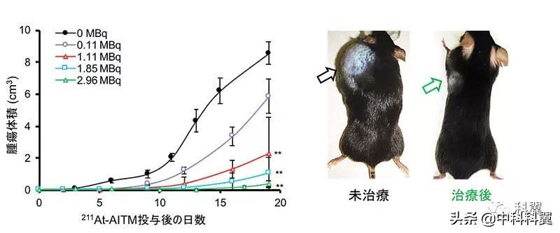 恶性黑色素瘤的靶向治疗药物,黑色素瘤的靶向药物有哪些