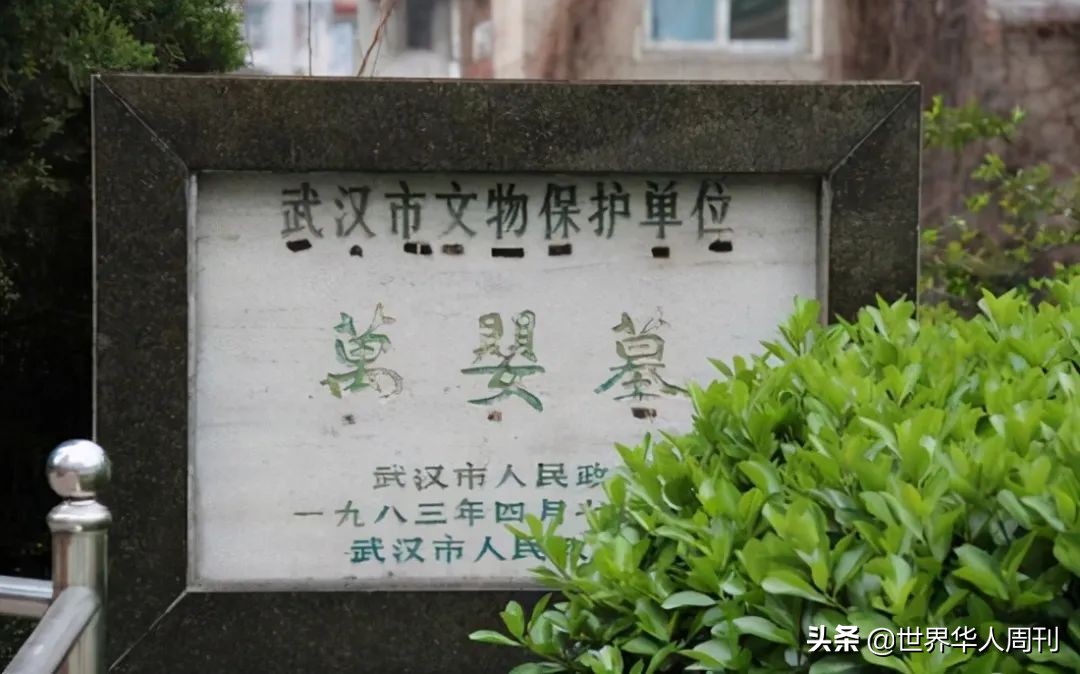 弃婴之死真相,弃婴抚养28年真相