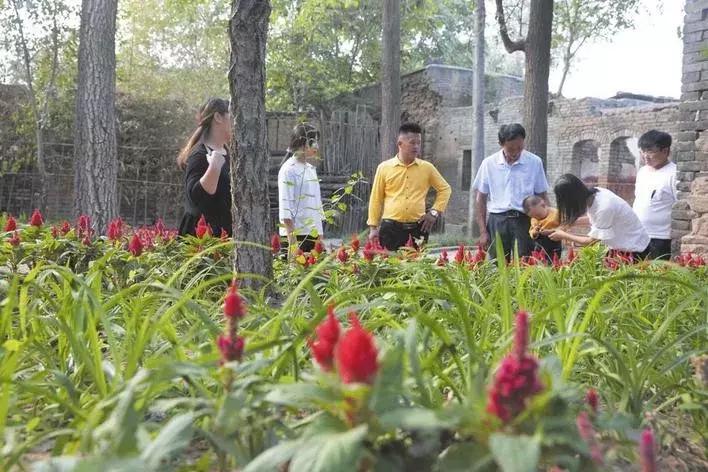 复兴区美丽乡村,复兴区户村镇美丽乡村