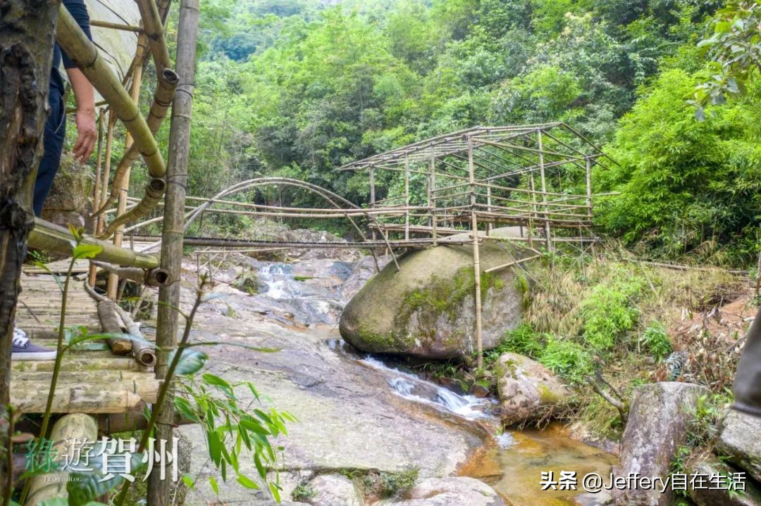 拍贺州｜莲塘镇大山深处的“一号基地”