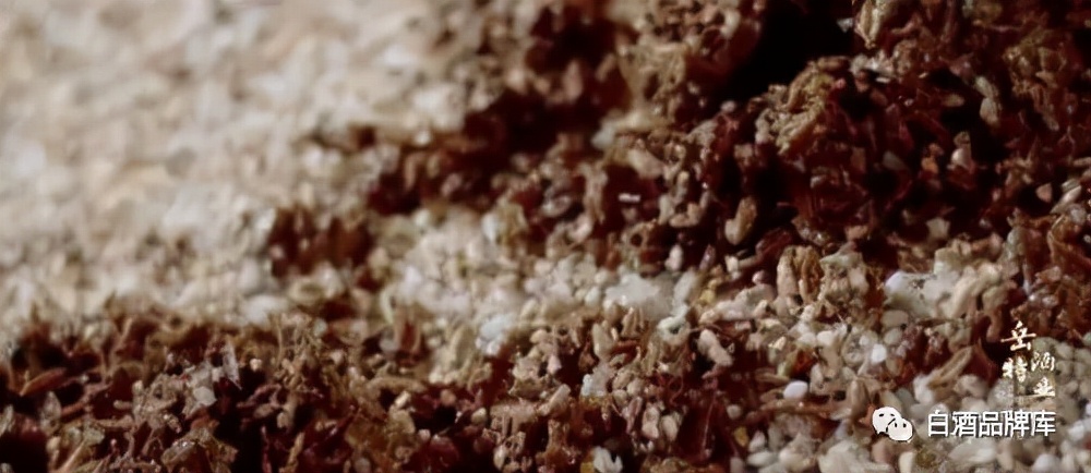 川酒性价比最高的白酒,川酒特曲精品