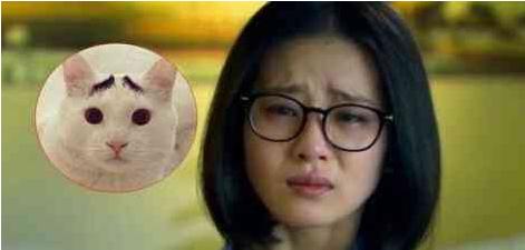 李易峰眉毛是什么眉,李易峰眉形图片大全