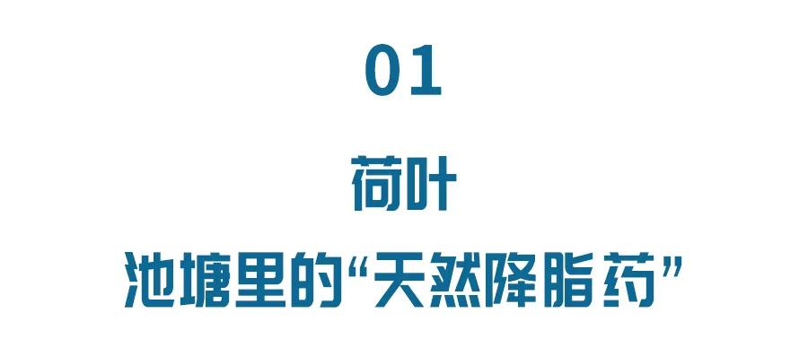 池塘里的“天然降脂药”，能吃能喝，能泡澡！还有这两个“养身宝”，你也别错过