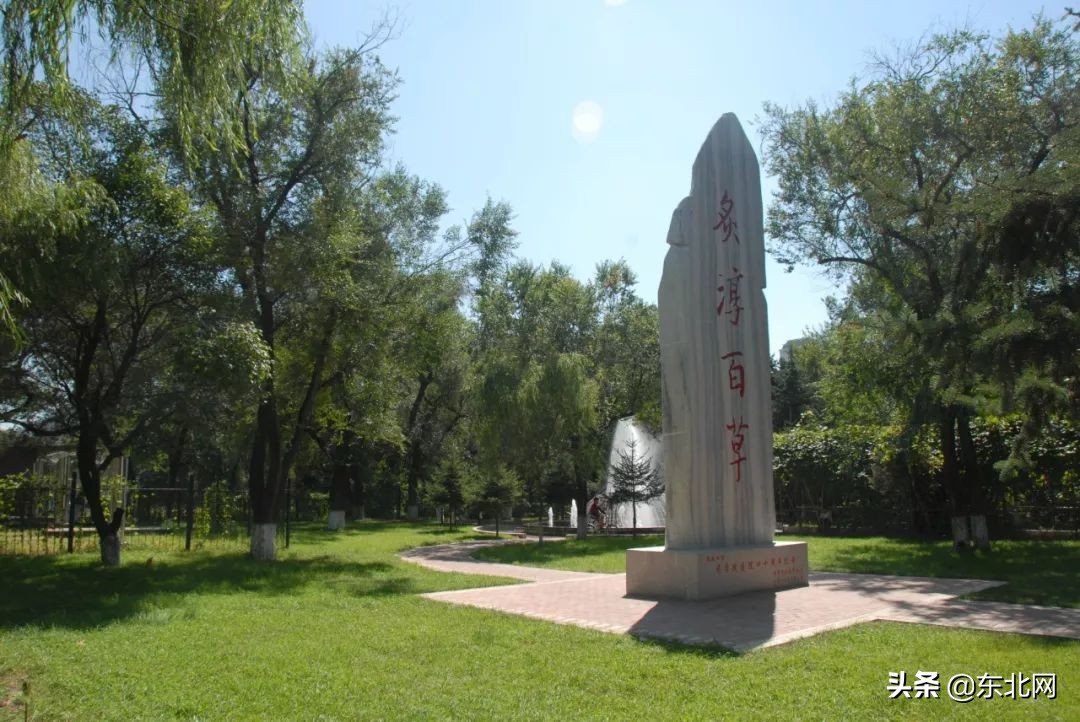 「点赞」教育部刚刚公布！恭喜黑龙江这所大学