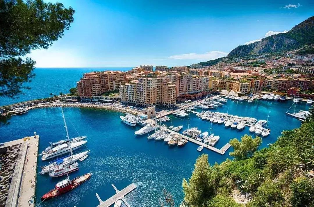 亿万富翁的有钱人生完整视频,亿万富豪的富贵人生