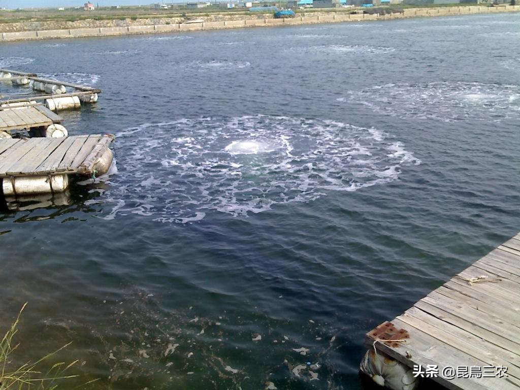 暴雨后水很浑浊怎么回事,暴雨多反而缺水的原因