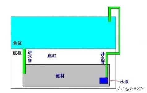 鱼缸各种过滤方式效果排名,细谈各种鱼缸过滤方法