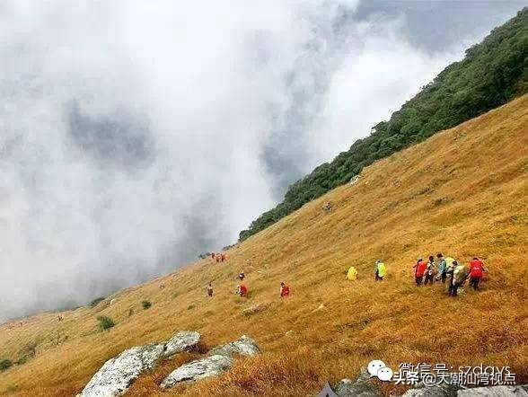 广东最美8个大草原,广东十大草原旅游地