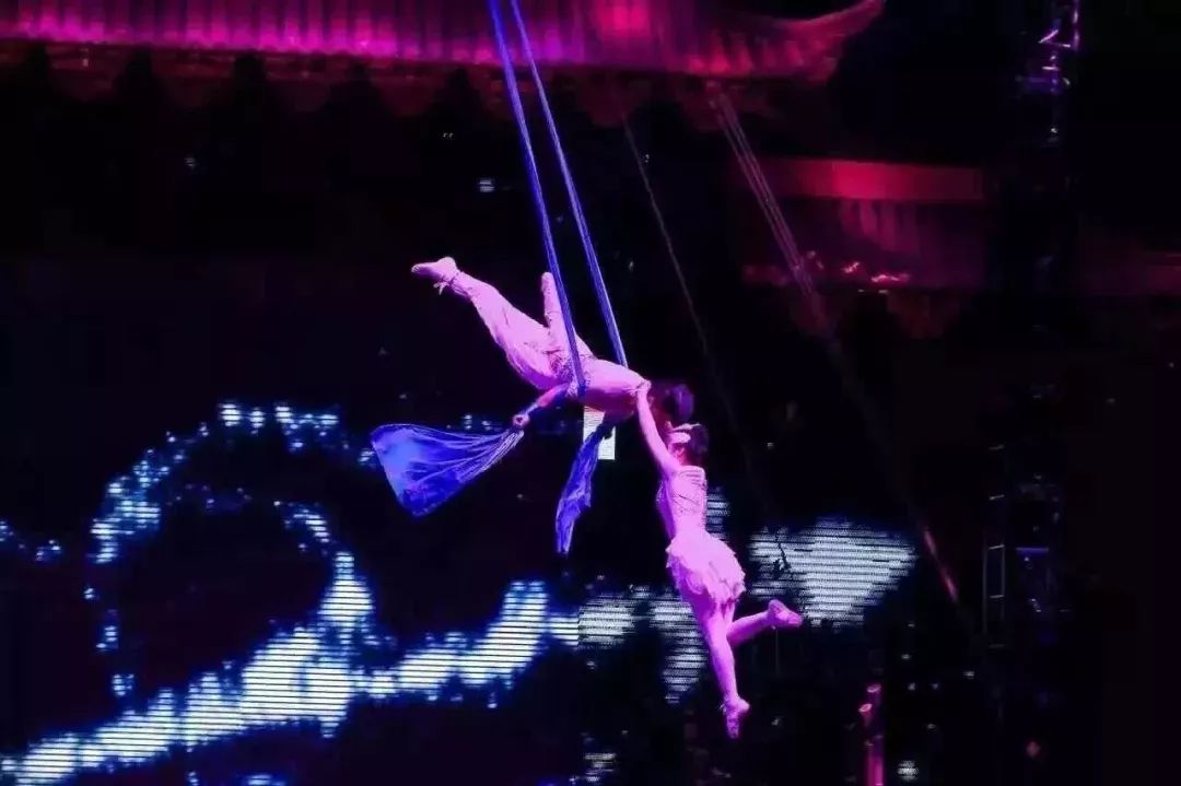 游园30秒,夏日游园攻略