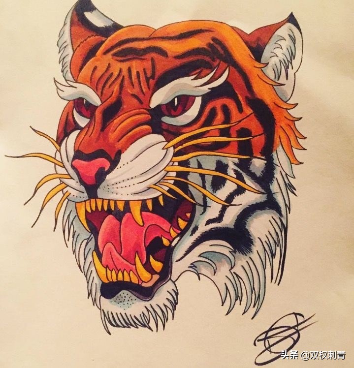 新传统老虎纹身手稿,满背老虎纹身手稿大全