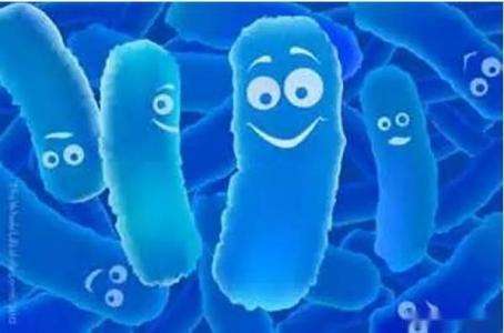 西医治疗胃病的最好方法,国外胃病治疗方法