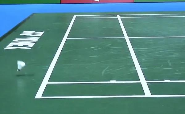 跟宝宝打羽毛球运动一下,和宝宝打球的感言