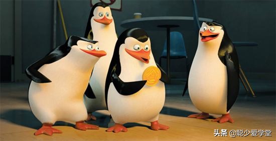 企鹅怎么运营,企鹅自媒体怎么注册挣钱