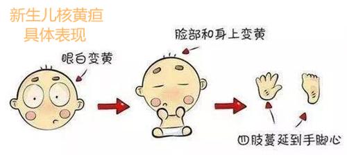 智力低下是什么原因造成的,智力低下是什么导致的