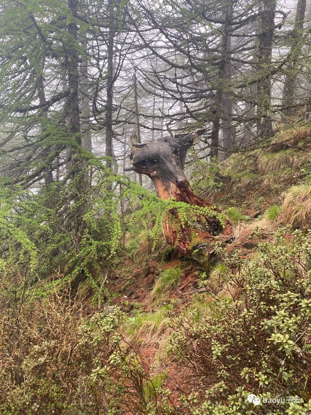 中华龙脊徒步教学视频,龙脊超全的旅行攻略