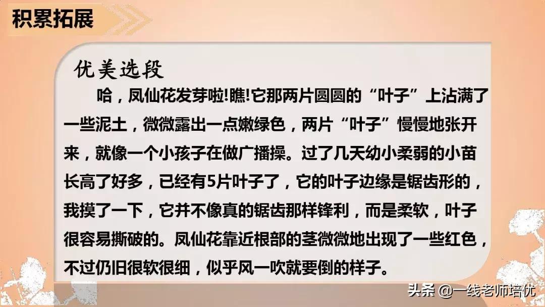 三年级语文金色的草地展现了什么,语文三年级上金色的草地课文讲解