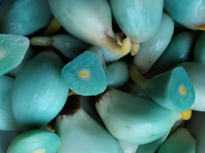 翡翠蒜瓣的腌法,翡翠蒜泡制方法