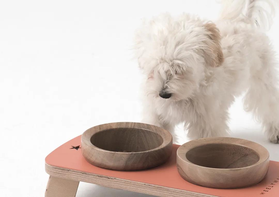 未来5年宠物智能产品,宠物产品logo设计