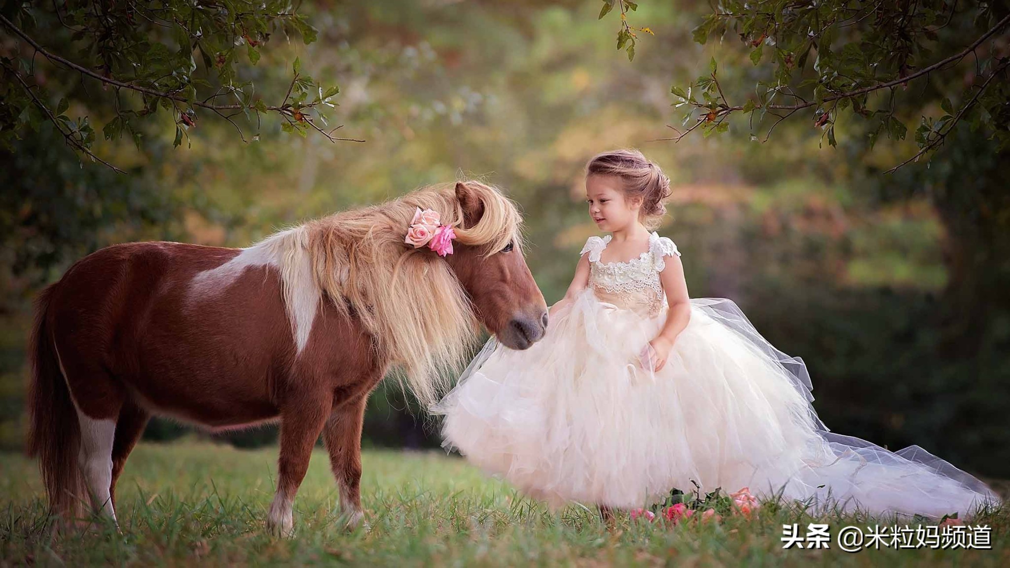 穷养女儿的小S和富养女儿的大S，究竟谁的孩子更有出息？