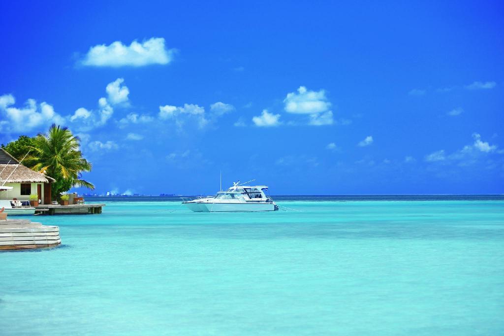 马尔代夫蕉叶岛游记,马尔代夫蓝色美人蕉岛的游记