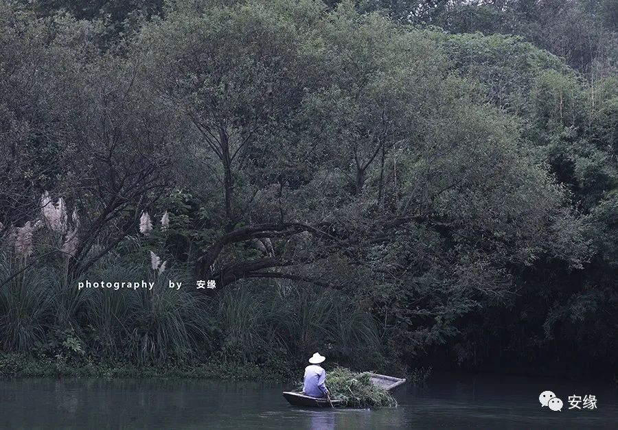 杭州西湖隐藏的豪华中式酒店,杭州水上主题酒店排名