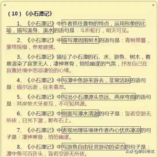 初中语文基础知识积累和易错题,初中语文知识点总结中考语文必备