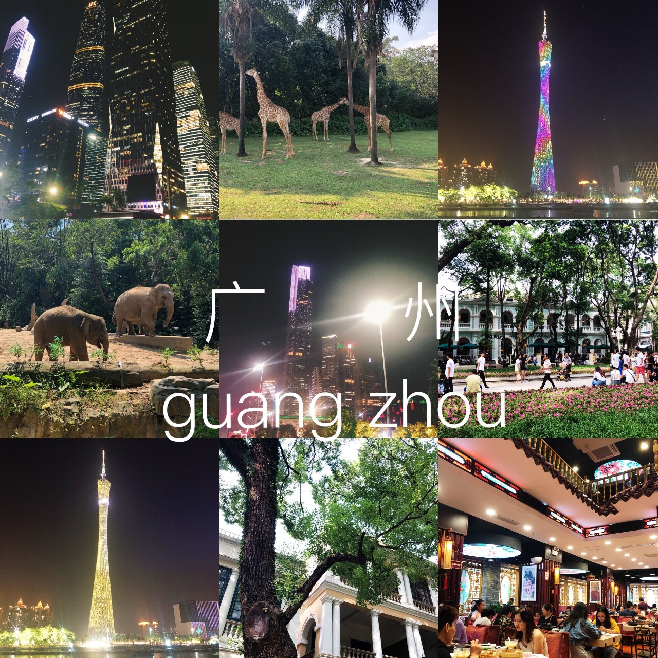 「穗港深」国庆七日南下计划