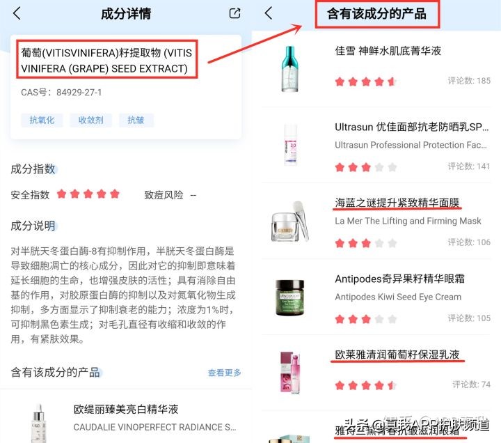 网红葡萄籽美白效果最好的牌子,葡萄籽美白是不是骗人的