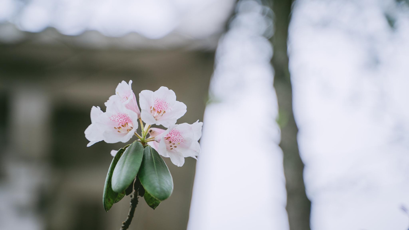 安徽天柱山有哪些好玩的景点推荐,安徽天柱山附近还有什么山