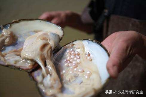 钻石可以人工合成黄金为什么不行,钻石和黄金的佩戴效果的区别