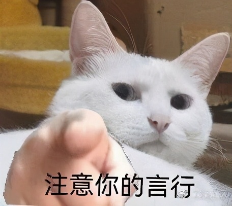 被意大利人骂了这么多年，原来是冤枉的丨互联网冲浪手册