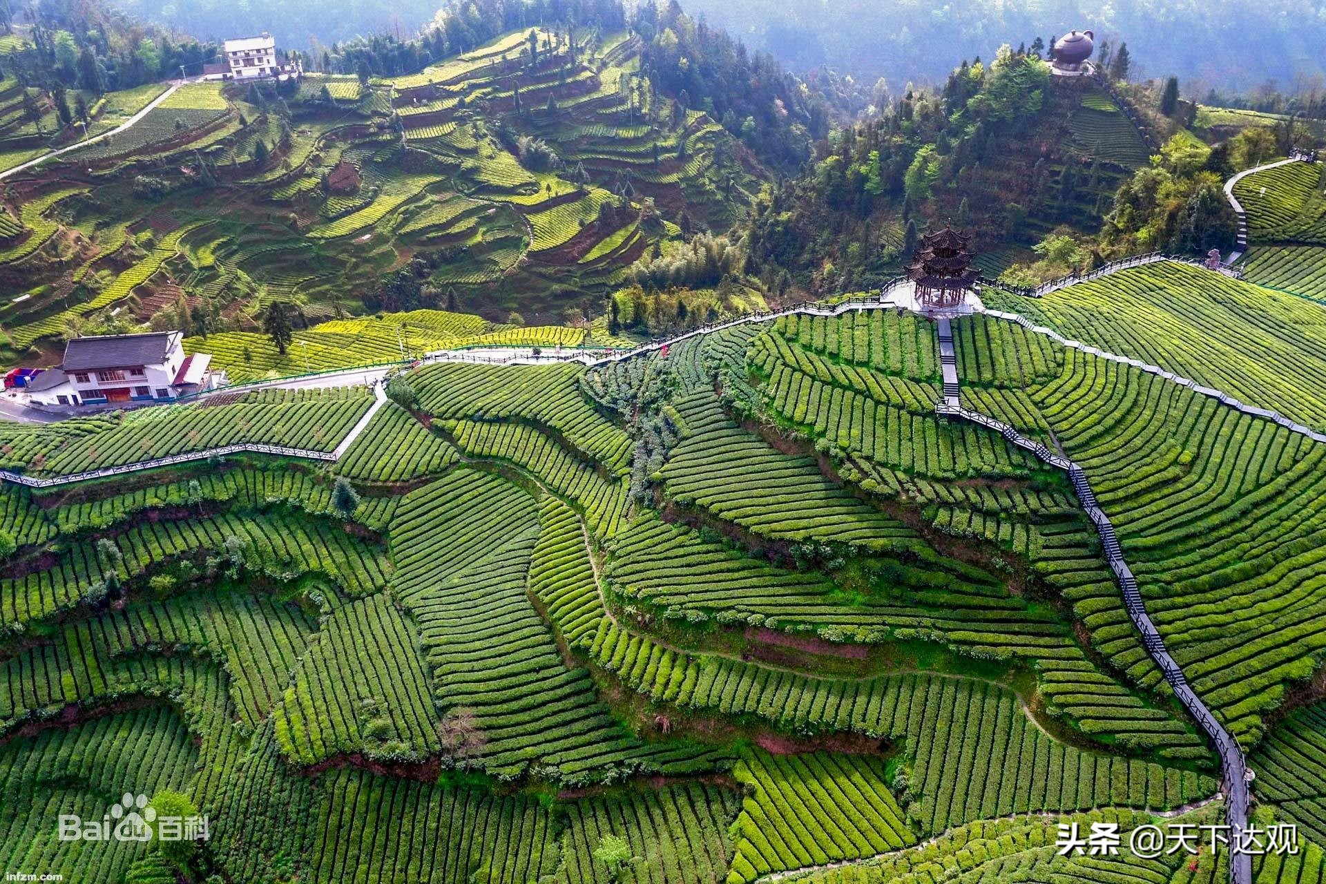 走遍中国唱响美丽乡村主旋律,走遍宣恩