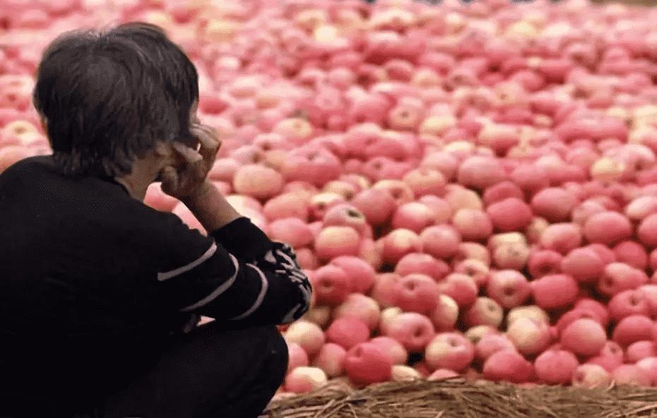 淘宝特价版促消费助力外贸转内销,淘宝特价版全靠淘客推广吗