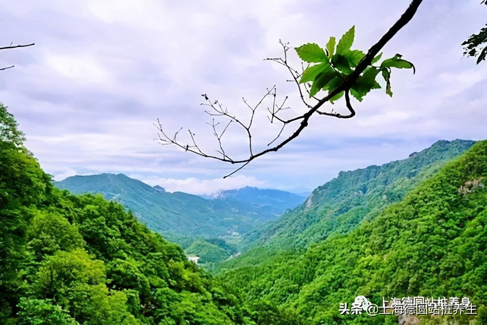 初学站桩膝盖疼咋办,初学站桩不适症状