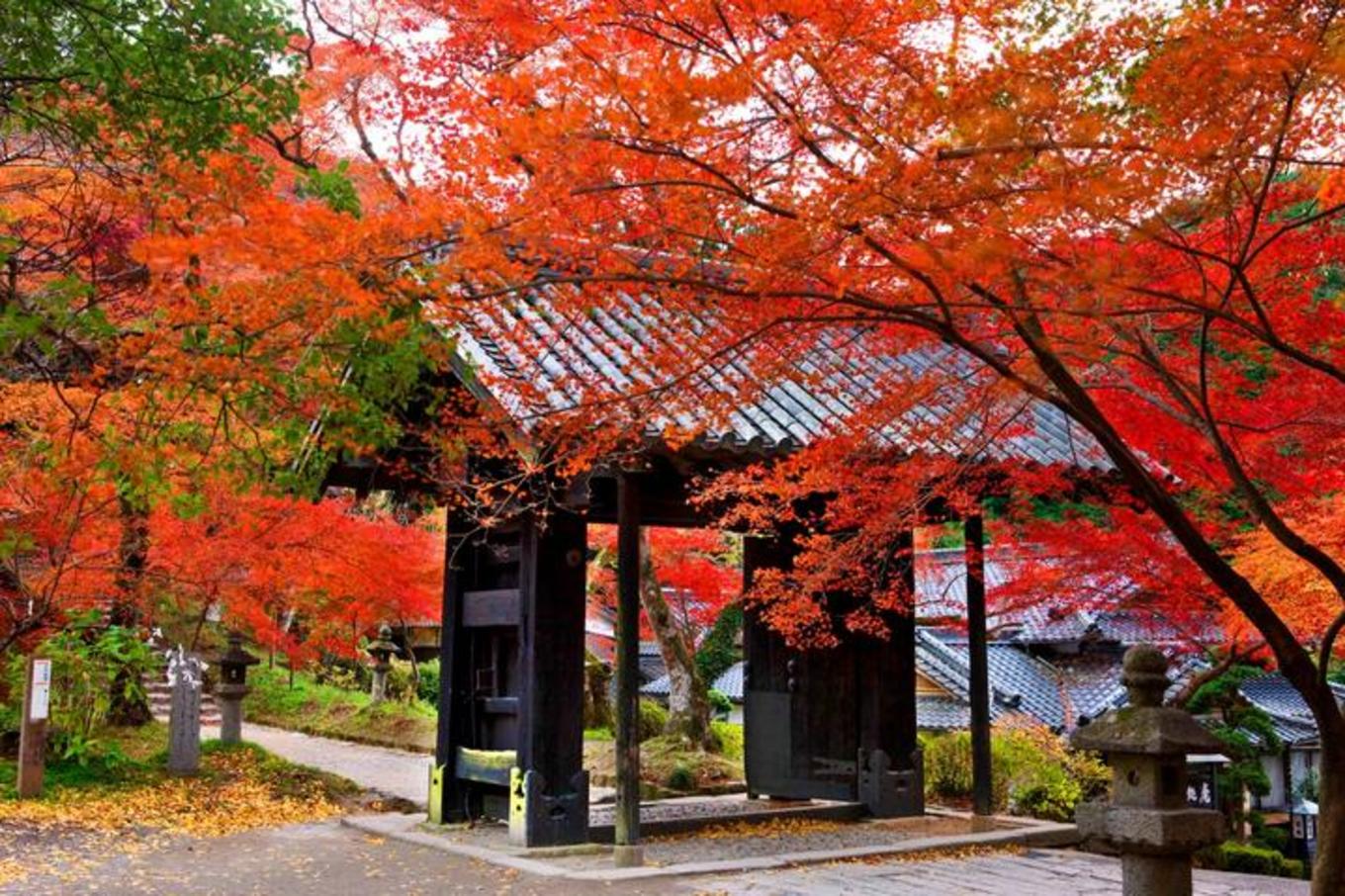 张翰王丽坤街头拍戏共赴海洋之城,张翰王丽坤同船共渡