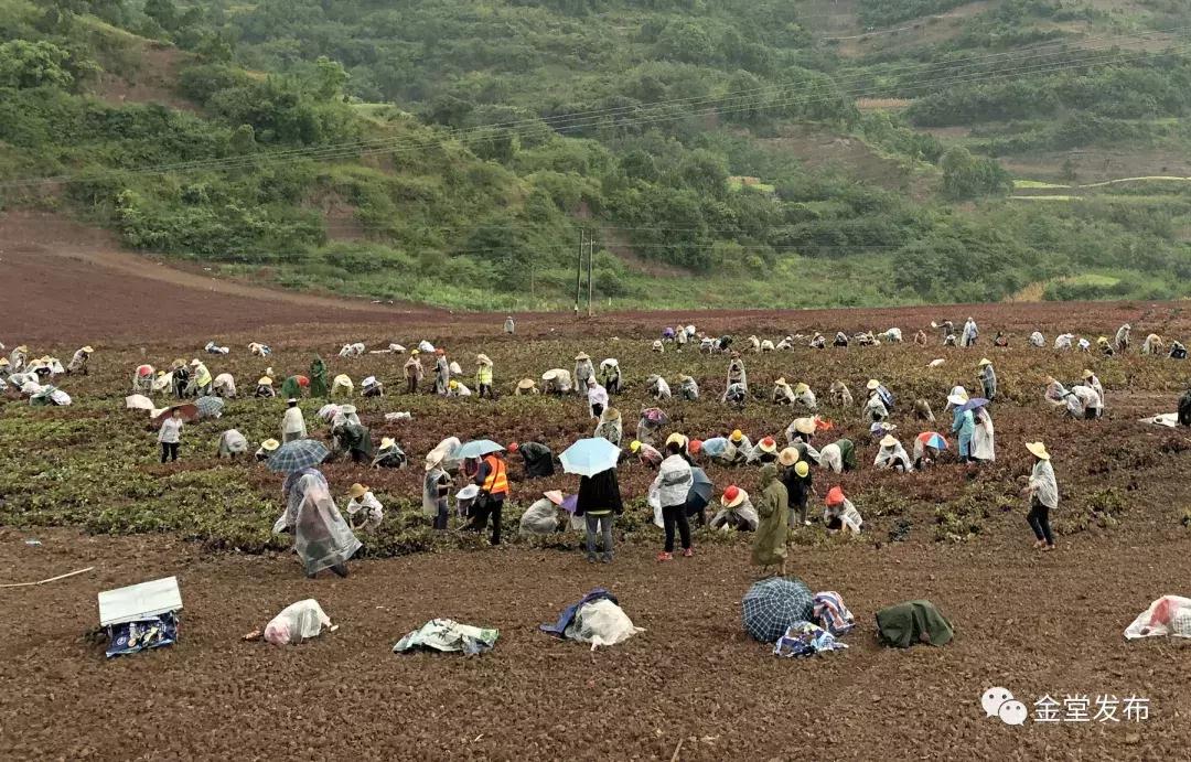 震撼500平巨幅国旗,巨型五星红旗升起
