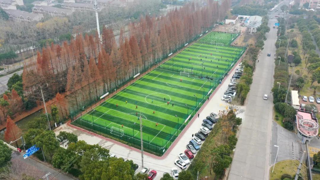 嘉定菊园新区,嘉定菊园新区重点项目