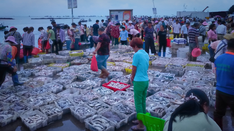 广东湛江旅游攻略美食,湛江旅游海鲜推荐一下