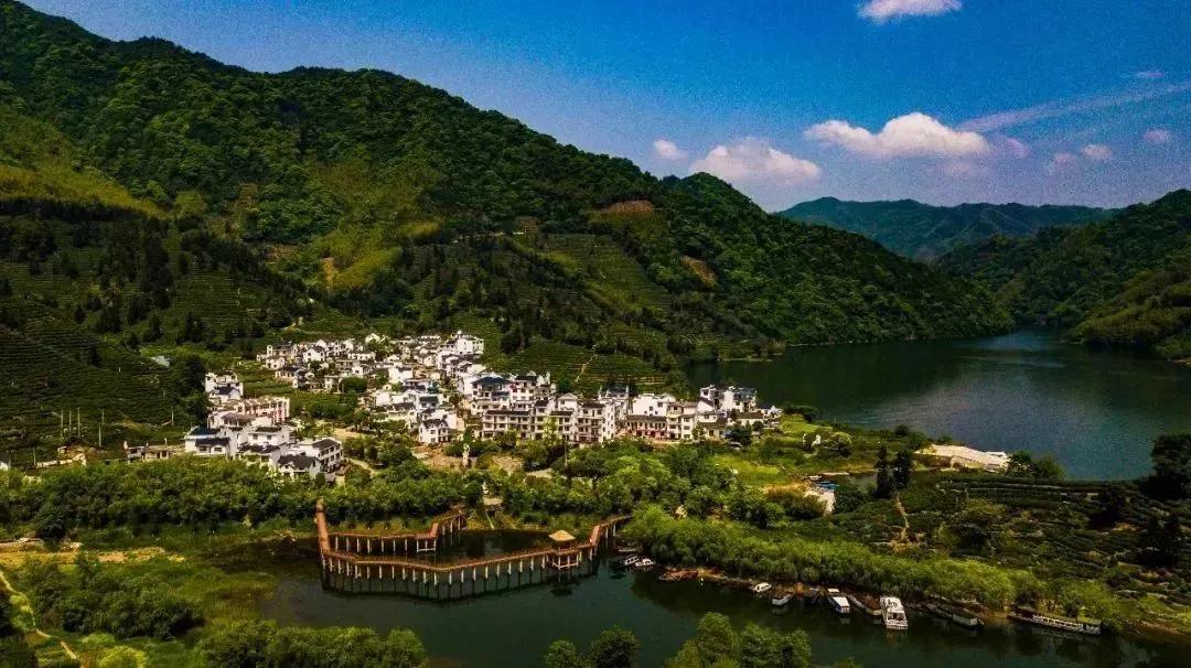 中国五大茶旅胜地,中国十大茶旅城市有哪些