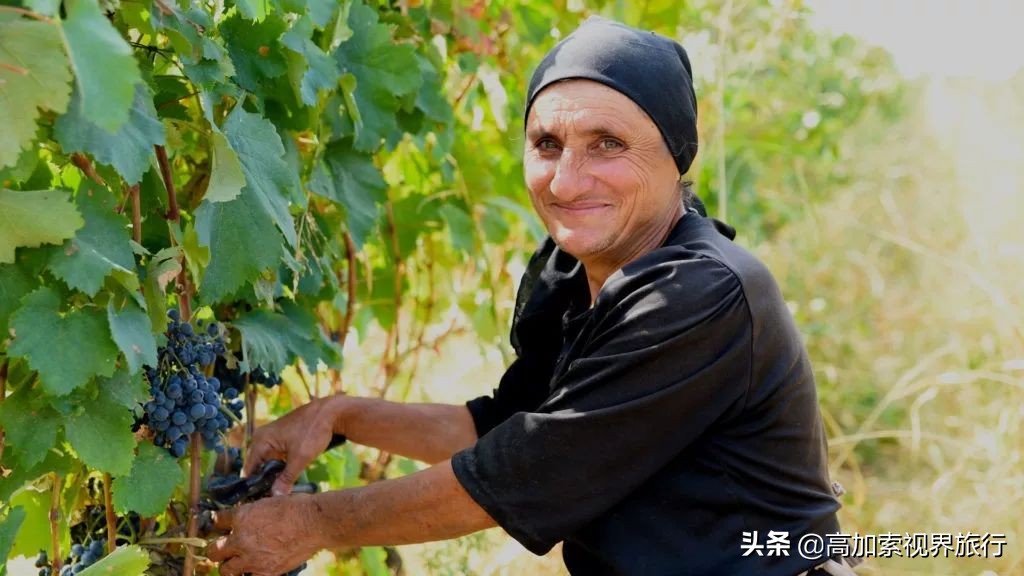 格鲁吉亚红酒怎么来的,格鲁吉亚红酒在当地贵不贵