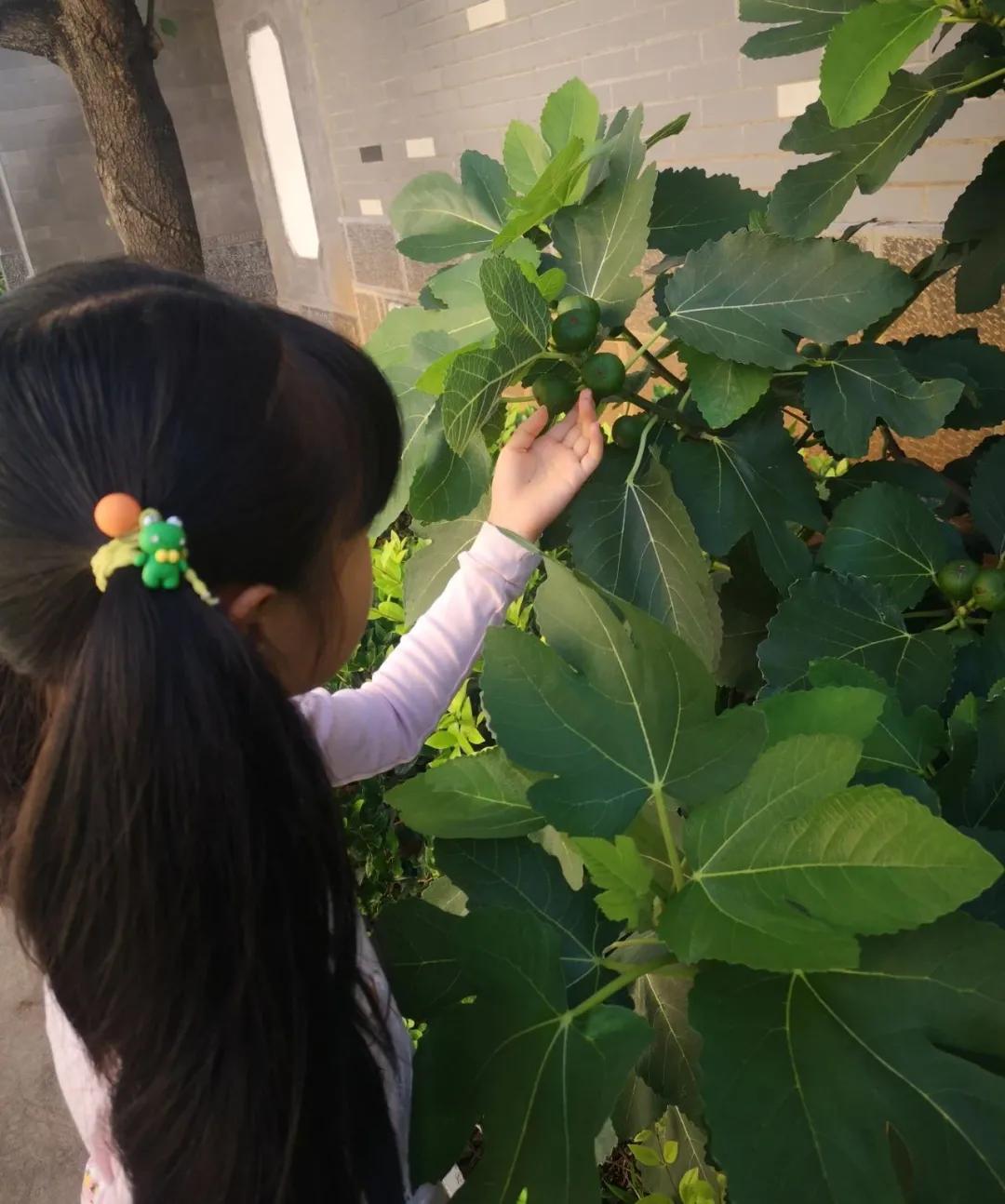 孩子暑假焦虑症,暑期你还在为孩子发愁吗