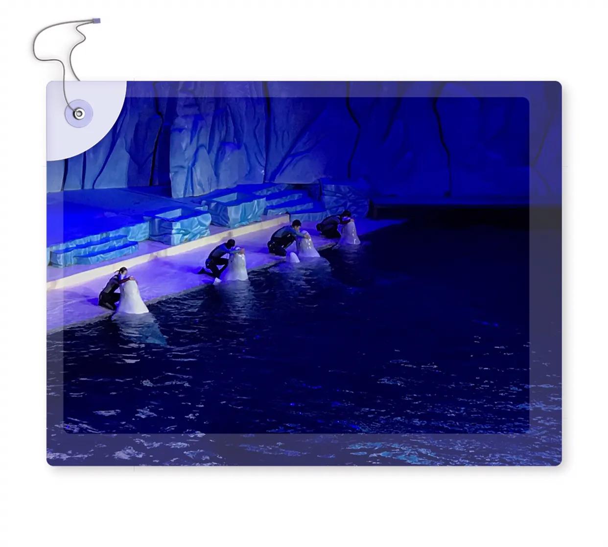 当你不知道怎么教育孩子时,当你不知道如何教育孩子