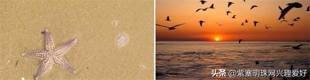 日照旭日家园渔家乐是在吴家台吗,日照吴家台旭日家园渔家乐