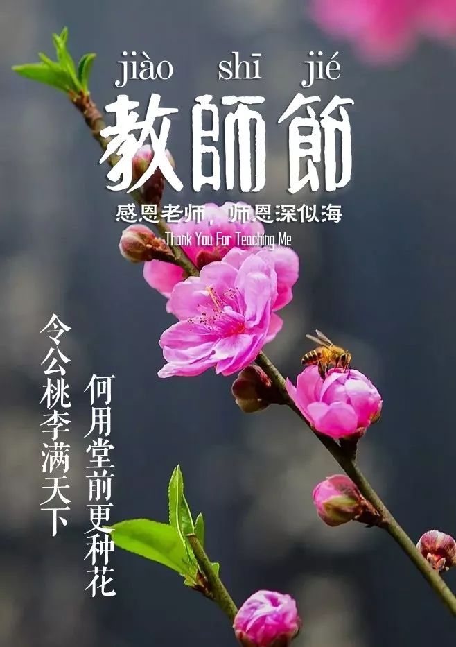 赞美老师的诗句古诗和名言,教师节献给老师的诗句