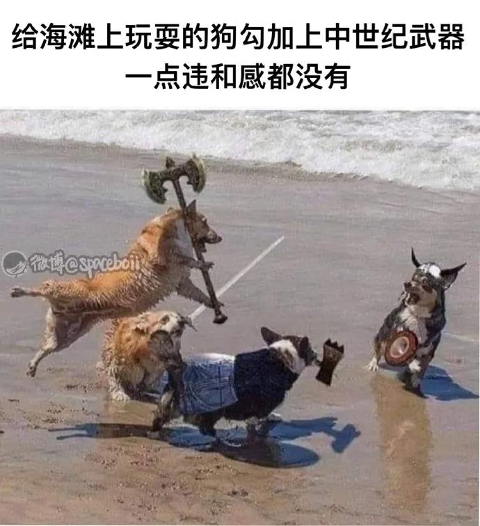 瀛︽牎涓轰簡鐪侀挶闄よ崏,瀛︽牎涓轰簡闄よ崏涓嶈姳閽卞吇浜嗕袱鍙緤