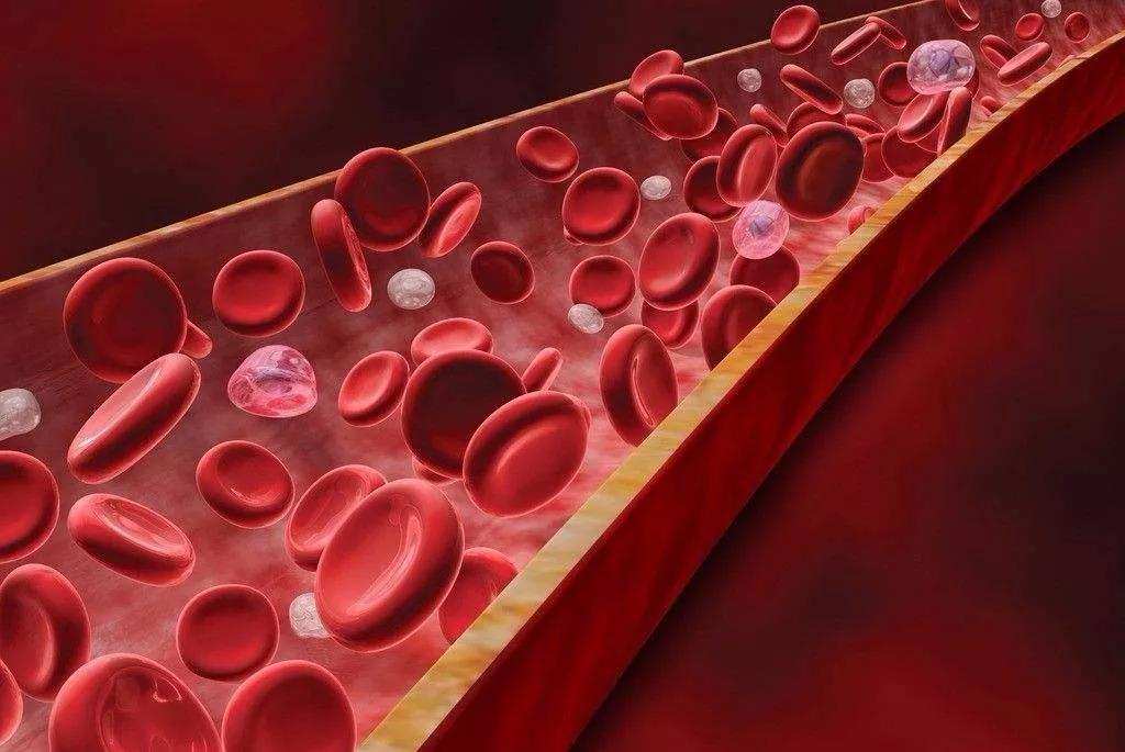 毒蛇咬到了自己会不会被毒死,毒蛇把自己咬了